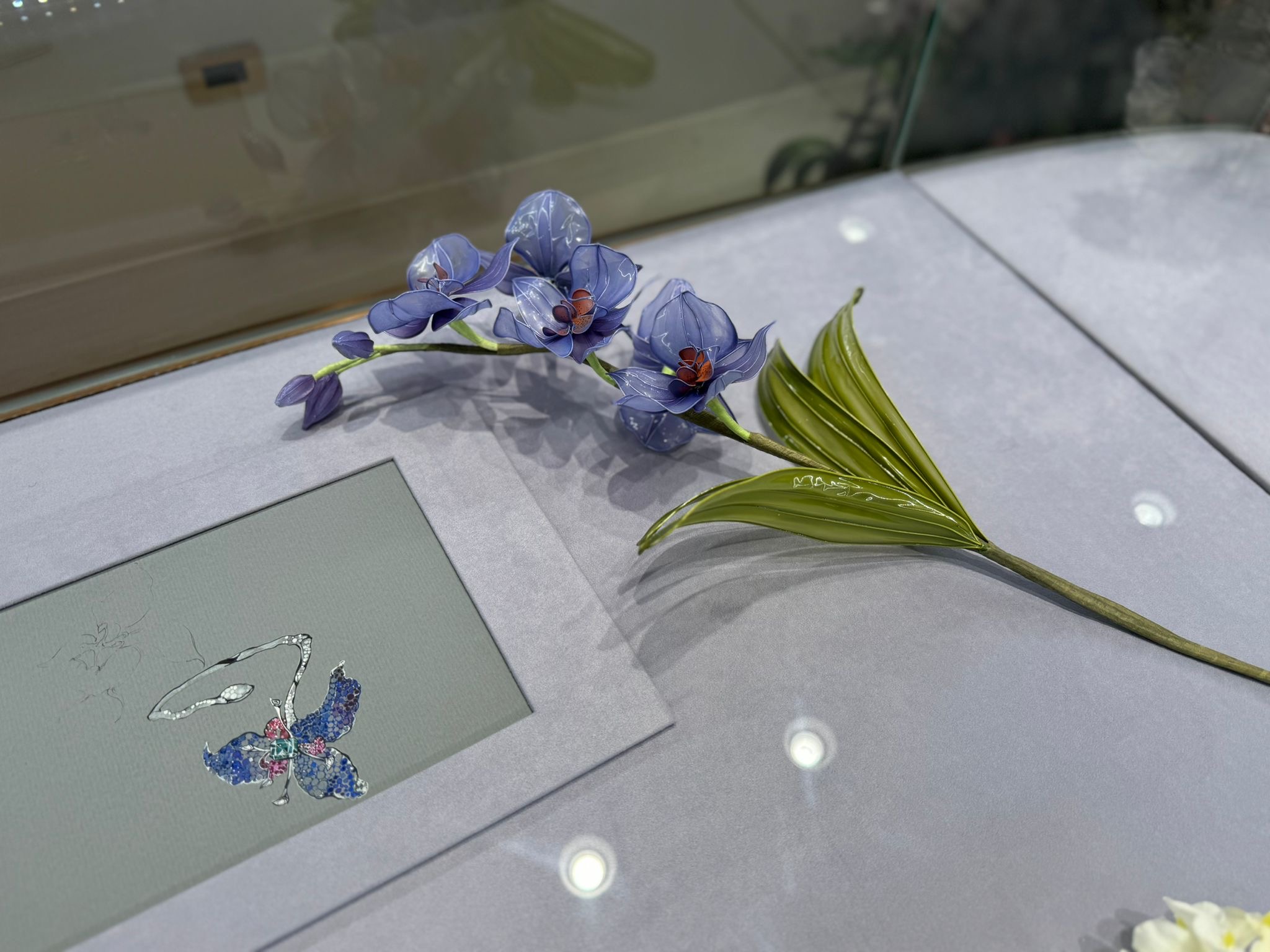 aae71904-add0-4065-97c4-6ce7613516ee